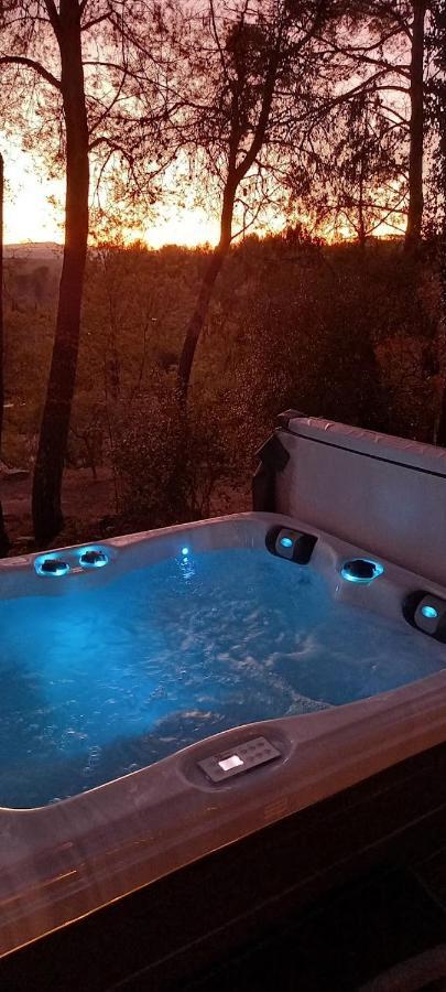 Gite Avec Spa Jacuzzi Au Coeur De Provence Cote D'Azur Saint-Antonin-du-Var Eksteriør billede